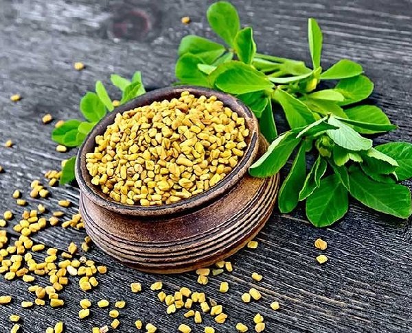 Methi के फायदे जान हैरान हो जाएंगे, चेहरे और बालों के लिए लाभदायक Methi के फायदे जान हैरान हो जाएंगे, चेहरे और बालों के लिए लाभदायक