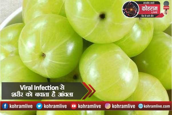 Viral Infection से शरीर को बचाता है आंवला Viral Infection से शरीर को बचाता है आंवला