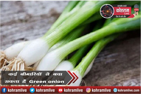 कई बीमारियों से बचा सकता है Green Onion कई बीमारियों से बचा सकता है Green Onion