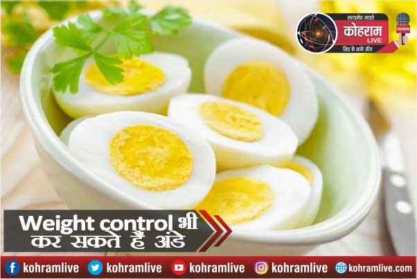 Weight Loss Tips : Weight control भी कर सकते हैं अंडे Weight Loss Tips : Weight control भी कर सकते हैं अंडे