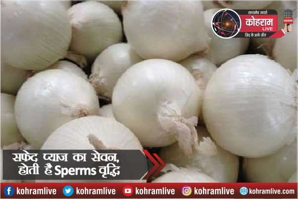 सेक्स समस्याओं से हैं परेशान तो White Onion है ना सेक्स समस्याओं से हैं परेशान तो White Onion है ना