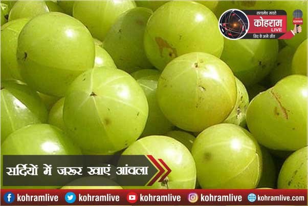 Amla खाएं, दिल रहेगा स्वस्थ, बढ़ेगी इम्यूनिटी Amla खाएं, दिल रहेगा स्वस्थ, बढ़ेगी इम्यूनिटी