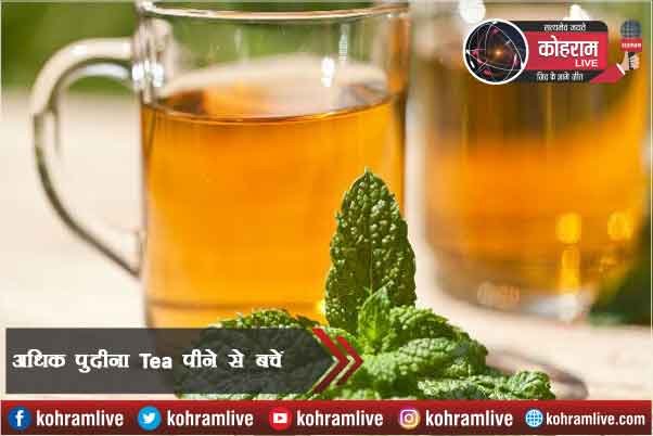 अधिक पुदीना चाय पीने से बचें, हो सकती है Alergy अधिक पुदीना चाय पीने से बचें, हो सकती है Alergy