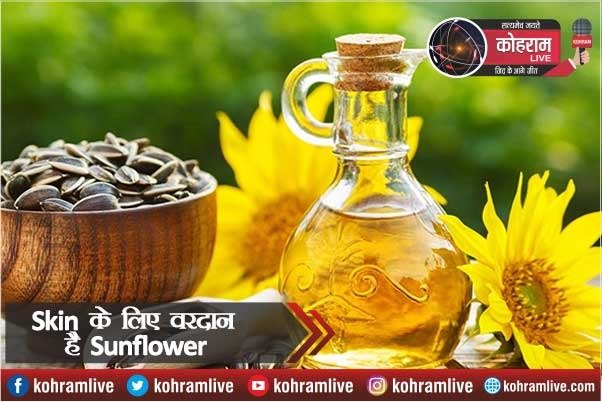 Skin के लिए वरदान है Sunflower oil, जानें कैसे Skin के लिए वरदान है Sunflower oil, जानें कैसे