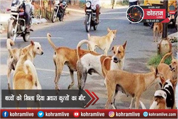 बच्चों को खिलाती थी कुत्ते का मीट, घर का था ये हाल, देखने वाले हैरान बच्चों को खिलाती थी कुत्ते का मीट, घर का था ये हाल, देखने वाले हैरान