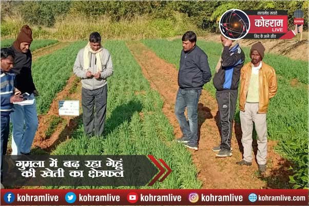गुमला में बढ़ रहा गेहूं की खेती का क्षेत्रफल : डॉ. संजय कुमार गुमला में बढ़ रहा गेहूं की खेती का क्षेत्रफल : डॉ. संजय कुमार