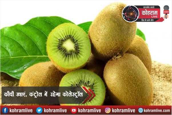 कीवी खाएं, कंट्रोल में रहेगा कोलेस्ट्रॉल कीवी खाएं, कंट्रोल में रहेगा कोलेस्ट्रॉल