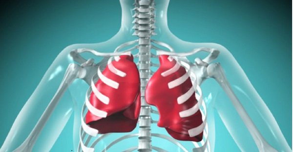 Body Secret : ये अंग न हों, तो भी जी सकता है इंसान Body Secret : ये अंग न हों, तो भी जी सकता है इंसान