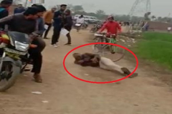 किसी बात को लेकर हुई कहासुनी, ...और युवकों ने सिपाही को पीट दिया किसी बात को लेकर हुई कहासुनी, ...और युवकों ने सिपाही को पीट दिया