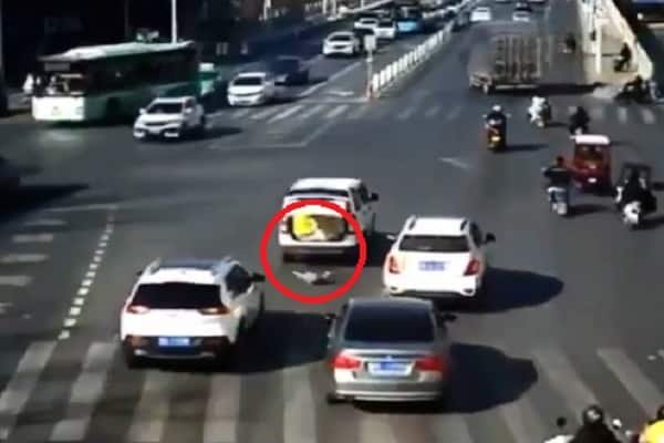 बिजी सड़क पर खुला कार का गेट और नीचे गिरा मासूम, फिर हुआ ये... (VIDEO) बिजी सड़क पर खुला कार का गेट और नीचे गिरा मासूम, फिर हुआ ये... (VIDEO)