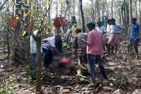बैल ढूंढने गए तीन लोगों पर हाथियों का हमला, दो की मौत बैल ढूंढने गए तीन लोगों पर हाथियों का हमला, दो की मौत