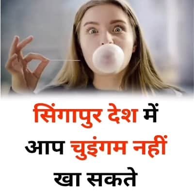 इस देश में चुइंगम खाने पर लगता है 1 लाख डॉलर का जुर्माना इस देश में चुइंगम खाने पर लगता है 1 लाख डॉलर का जुर्माना