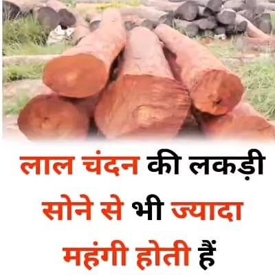 Aaj Ka Vichaar Aaj Ka Vichaar