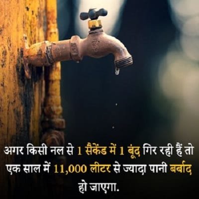 Interesting Facts Interesting Facts