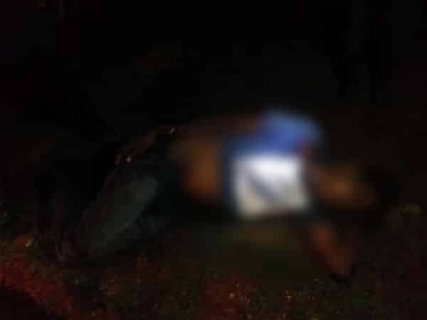 ट्रैक्टर और बाइक में टक्कर, दो जख्मी ट्रैक्टर और बाइक में टक्कर, दो जख्मी