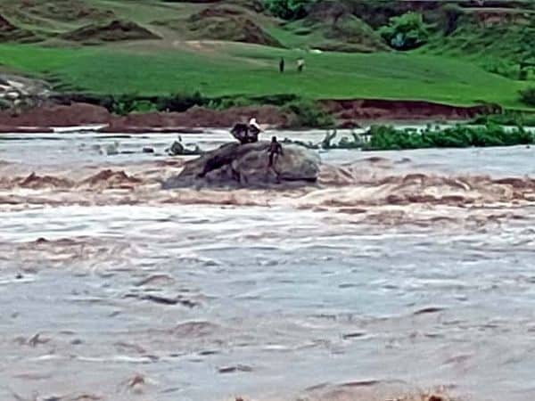 अचानक से नदी में आई बाढ़ में फंसे तीन लोग, ऐसे बची जान... अचानक से नदी में आई बाढ़ में फंसे तीन लोग, ऐसे बची जान...