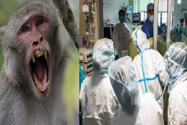 कोरोना के बाद इस Virus ने दी दस्तक, जानें कितना है खतरनाक कोरोना के बाद इस Virus ने दी दस्तक, जानें कितना है खतरनाक