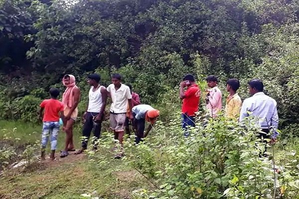 जंगल में गया था मवेशी चराने, पेड़ पर देखा तो रह गया दंग... जंगल में गया था मवेशी चराने, पेड़ पर देखा तो रह गया दंग...