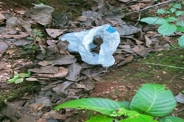 नक्सलियों के मंसूबे पर सुरक्षाबलों ने ऐसे फेरा पानी नक्सलियों के मंसूबे पर सुरक्षाबलों ने ऐसे फेरा पानी
