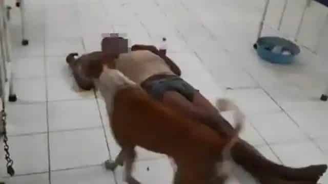 अस्पताल की ये तस्वीर अंदर से झकझोर देगी... अस्पताल की ये तस्वीर अंदर से झकझोर देगी...