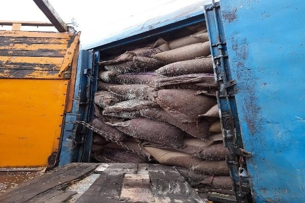 FCI गोदाम में 32.46 लाख का अनाज बर्बाद, होगी कार्रवाई FCI गोदाम में 32.46 लाख का अनाज बर्बाद, होगी कार्रवाई