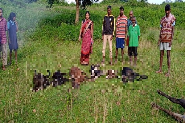 क्या बताएं, जीवन यापन का साधन ही छिन गया... क्या बताएं, जीवन यापन का साधन ही छिन गया...