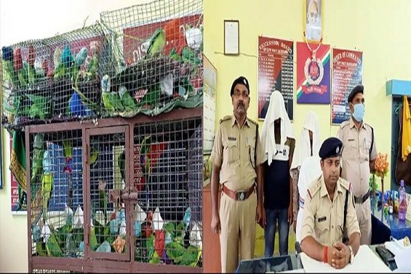 मुंह पर रंग-बिरंगे कपड़े बांधकर कर रहे थे तस्करी, ऐसे धराये मुंह पर रंग-बिरंगे कपड़े बांधकर कर रहे थे तस्करी, ऐसे धराये