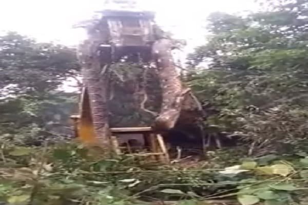 OMG! इतना बड़ा सांप, उठाने के लिए लगाना पड़ा JCB... देखें वीडियो OMG! इतना बड़ा सांप, उठाने के लिए लगाना पड़ा JCB... देखें वीडियो