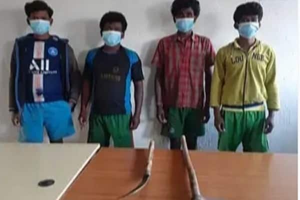 चाचा-चाची को पहले कुल्हाड़ी से काटा, फिर कर दिया... चाचा-चाची को पहले कुल्हाड़ी से काटा, फिर कर दिया...