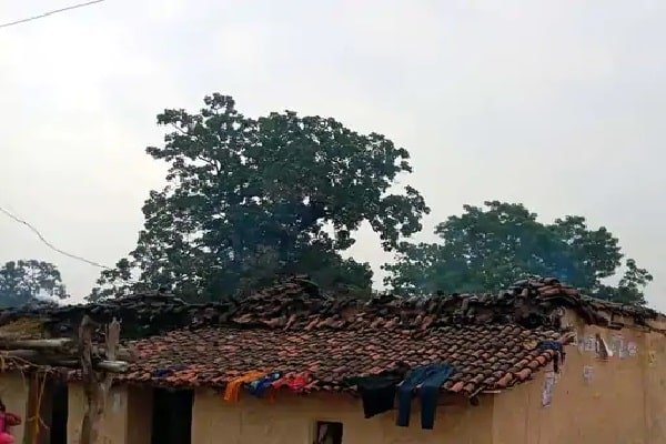 नक्सलियों का कहर: गया में चार को फंदे पर लटकाया, घर में मारा बम.... नक्सलियों का कहर: गया में चार को फंदे पर लटकाया, घर में मारा बम....
