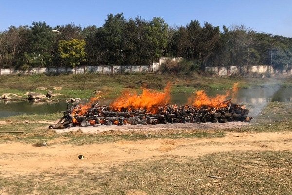 33 लावारिस