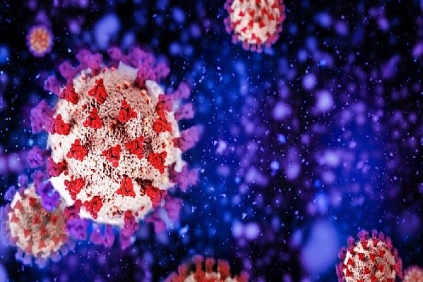 राजस्थान में Omicron ब्लास्ट, मिले इतने नए संक्रमित राजस्थान में Omicron ब्लास्ट, मिले इतने नए संक्रमित