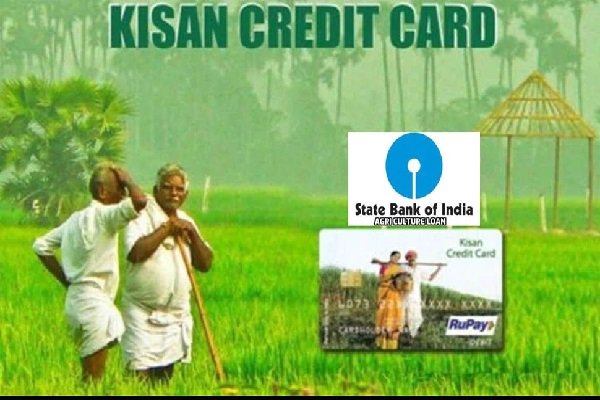 बड़ी सुविधा : घर बैठे SBI के माध्यम से बन जाएगा किसान क्रेडिट कार्ड, जानें प्रोसेस बड़ी सुविधा : घर बैठे SBI के माध्यम से बन जाएगा किसान क्रेडिट कार्ड, जानें प्रोसेस
