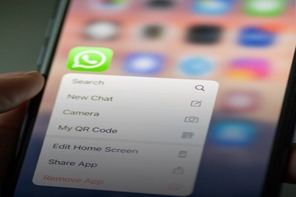 WhatsApp पर मिलेगी ग्रोसरी और रेस्टोरेंट की जानकारी, जानें कैसे WhatsApp पर मिलेगी ग्रोसरी और रेस्टोरेंट की जानकारी, जानें कैसे