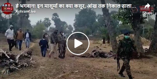 हे भगवान! इन मासूमों का क्या कसूर, आंख तक निकाल डाला... देखें वीडियो हे भगवान! इन मासूमों का क्या कसूर, आंख तक निकाल डाला... देखें वीडियो