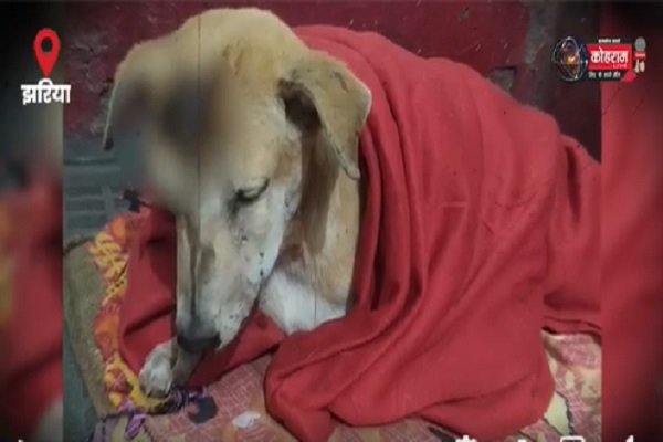 लावारिश भैरवी के वास्ते छलक आये उसकी आंखों में आंसू, देखें क्यों.. लावारिश भैरवी के वास्ते छलक आये उसकी आंखों में आंसू, देखें क्यों..