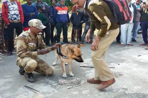 डबल मर्डर