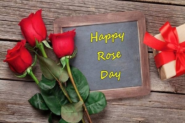Rose day के साथ वेलेंटाइन वीक शुरू, जानिए कैसे मनाएंगे हर खास दिन Rose day के साथ वेलेंटाइन वीक शुरू, जानिए कैसे मनाएंगे हर खास दिन