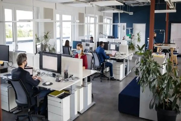 WFH का लगा चस्का, लोगों को वापस बुलाने के लिए कंपनी दे रही शानदार ऑफर WFH का लगा चस्का, लोगों को वापस बुलाने के लिए कंपनी दे रही शानदार ऑफर