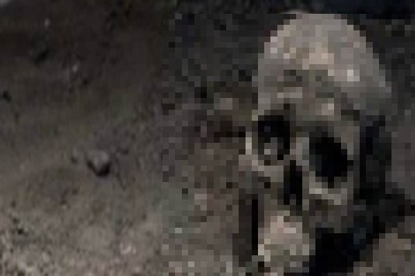 कंकाल मिलने से सनसनी कंकाल मिलने से सनसनी