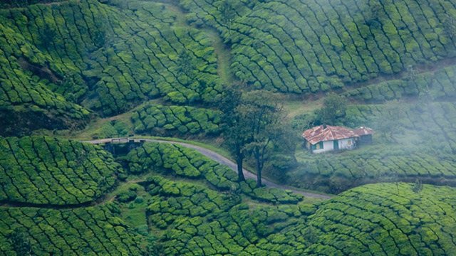 मुन्नार, केरल