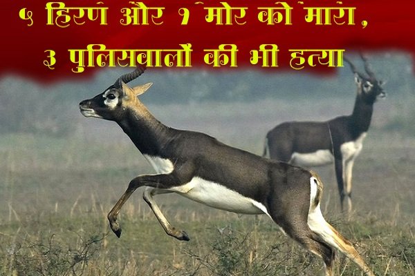 काले हिरण और मोर को मारा, पकड़ने गये SI समेत 3 पुलिसवालों की हत्या काले हिरण और मोर को मारा, पकड़ने गये SI समेत 3 पुलिसवालों की हत्या