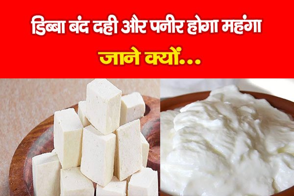 डिब्बा बंद दही और पनीर होगा महंगा, जाने क्यों... डिब्बा बंद दही और पनीर होगा महंगा, जाने क्यों...