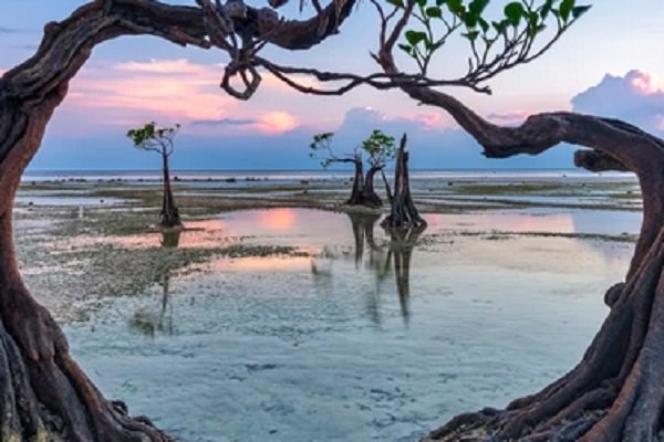 सबसे सस्ती है ये कारें, सिर्फ 2.75 लाख रुपये से शुरू है कीमत, जानें कहां मिलेंगी सबसे सस्ती है ये कारें, सिर्फ 2.75 लाख रुपये से शुरू है कीमत, जानें कहां मिलेंगी