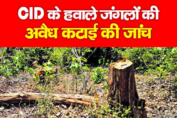 CID के हवाले जंगलों की अवैध कटाई की जांच CID के हवाले जंगलों की अवैध कटाई की जांच