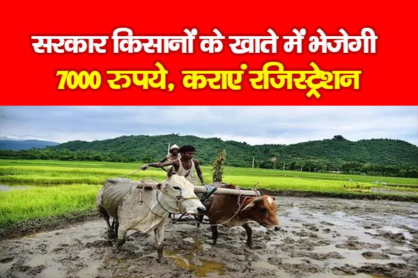 सरकार किसानों के खाते में भेजेगी 7000 रुपये, कराएं रजिस्ट्रेशन सरकार किसानों के खाते में भेजेगी 7000 रुपये, कराएं रजिस्ट्रेशन