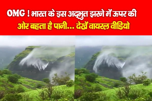 OMG ! भारत के इस अद्भुत झरने में ऊपर की ओर बहता है पानी... देखें वायरल वीडियो OMG ! भारत के इस अद्भुत झरने में ऊपर की ओर बहता है पानी... देखें वायरल वीडियो