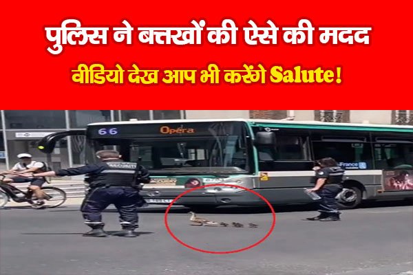 पुलिस ने बत्तखों की ऐसे की मदद, वीडियो देख आप भी करेंगे Salute! पुलिस ने बत्तखों की ऐसे की मदद, वीडियो देख आप भी करेंगे Salute!