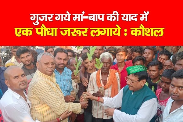 गुजर गये मां-बाप की याद में एक पौधा जरूर लगाये : कौशल किशोर गुजर गये मां-बाप की याद में एक पौधा जरूर लगाये : कौशल किशोर