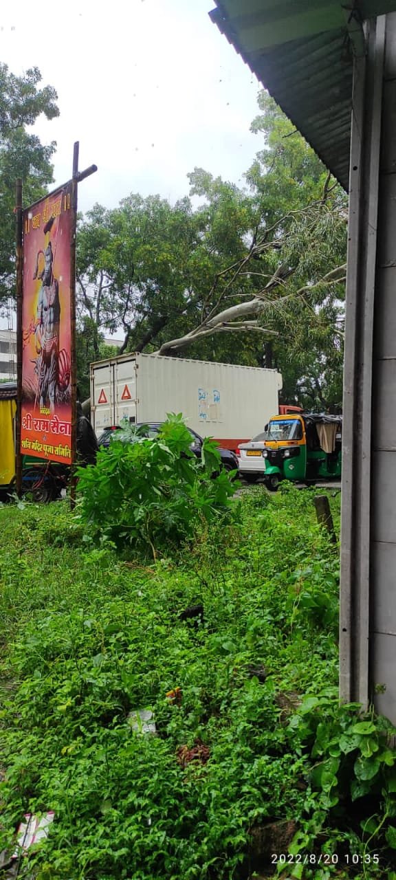 नामकुम पुराना थाना के पास पेड़ गिरने से रोड जाम